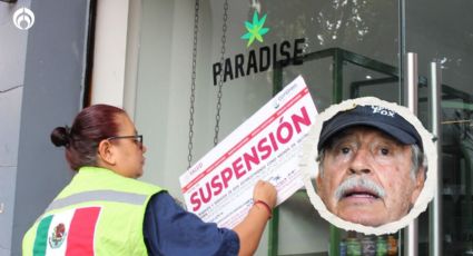 Golpe a la empresa cannábica de Fox: Cofepris asegura productos de Paradise en CDMX