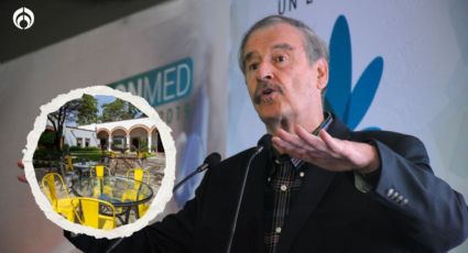 Vicente Fox: ¿cuáles son sus negocios además del cannabis?