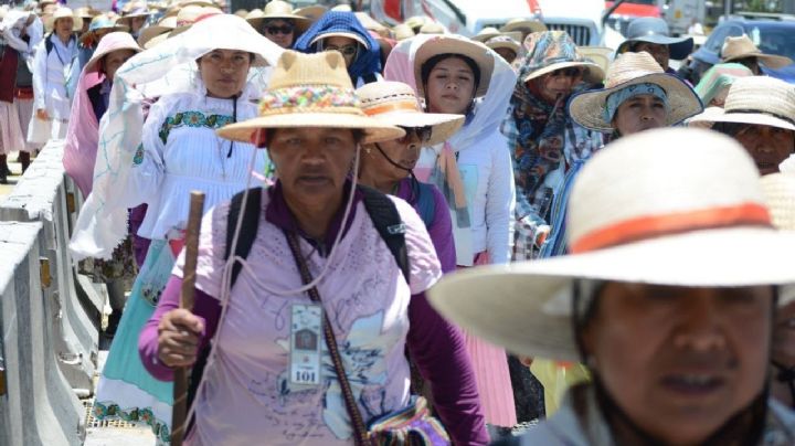 Peregrinación a pie al Tepeyac reportó incidentes menores y más de 50 mil peregrinos