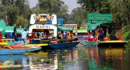 París y CDMX: ¿Por qué no se puede nadar en Xochimilco como ahora se podrá en el Sena?