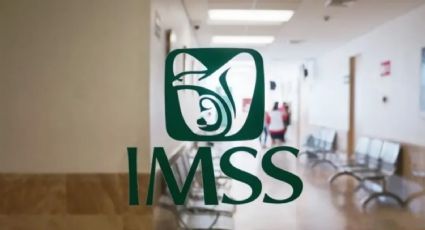 IMSS revela hallazgos de la investigación del caso Ahitana… y señala a Mikel Arriola