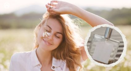 8 perfumes con olor a lavanda perfectos para usar este verano