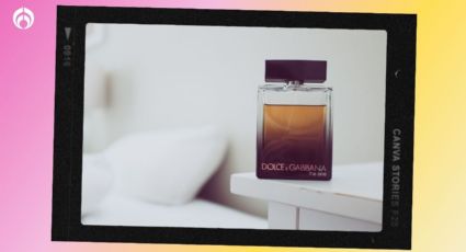 Los 5 perfumes Dolce & Gabbana que usa la clase alta y están a un super precio en Liverpool