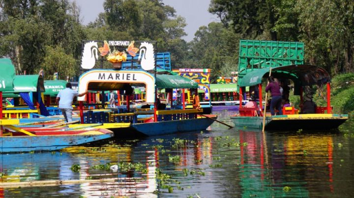 París y CDMX: ¿Por qué no se puede nadar en Xochimilco como ahora se podrá en el Sena?