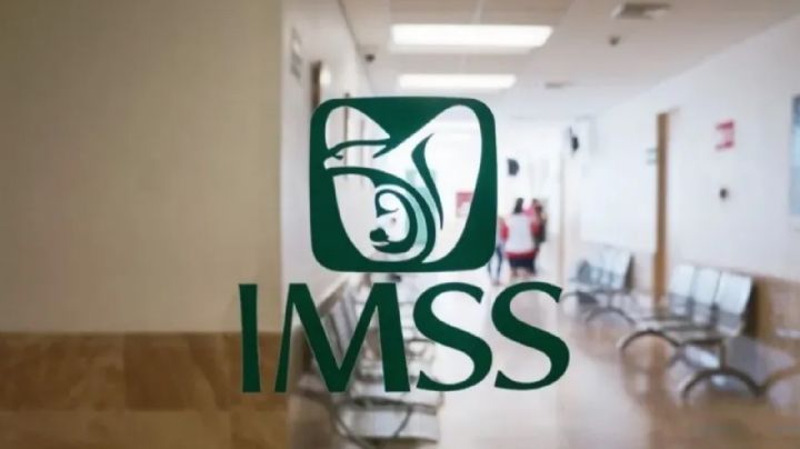 IMSS revela hallazgos de la investigación del caso Ahitana… y señala a Mikel Arriola