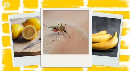 ¿Los mosquitos odian el limón y aman el plátano? Así puedes usar frutas para ahuyentarlos