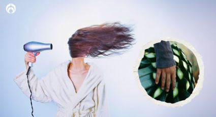 Úsalo en shampoo, no sólo en tequila: 3 beneficios del agave para tu cabello