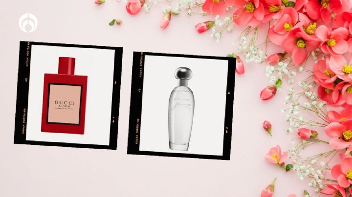 Los 5 perfumes florales perfectos para verano, según la Inteligencia Artificial