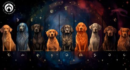 Dime qué signo zodiacal eres y te diré cuál es la mejor raza de perro para ti