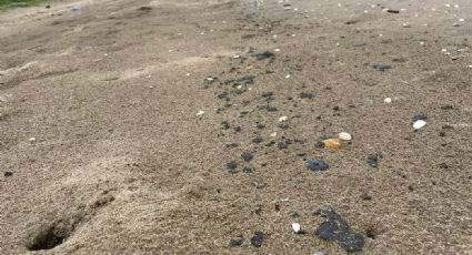 Derrame de Pemex: descarta Coepris hidrocarburo en playas de Altamira y Aldama