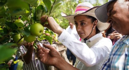 ‘’Que siga creciendo el salario de los trabajadores y trabajadoras": Sheinbaum