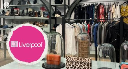 Liverpool: 28 marcas de ropa de clase alta que se venderán de segunda mano