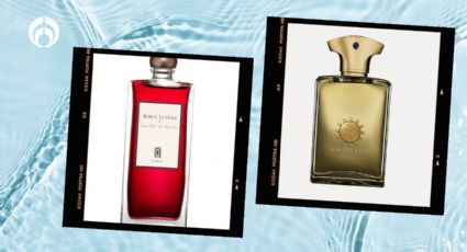 Los perfumes más elegantes y poco comunes que usa la case alta