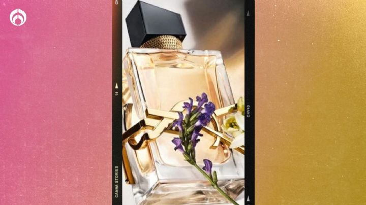 2 perfumes duraderos y baratos que huelen como Libre de YSL, ¡ahorra 3 mil pesos!