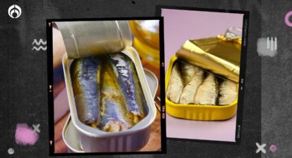 Estas son las mejores sardinas españolas, según Profeco