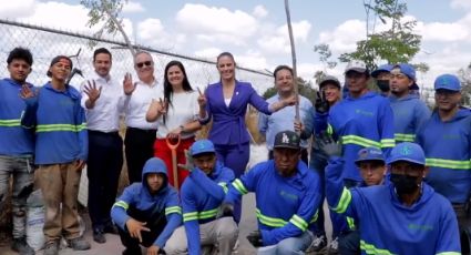 Pide alcaldesa de León sumar y no politizar ecocidio de árboles en bulevar malecón