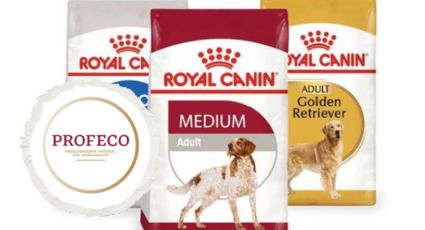 ¿Las croquetas Royal Canin son buenas para tu perrito? Profeco te dice