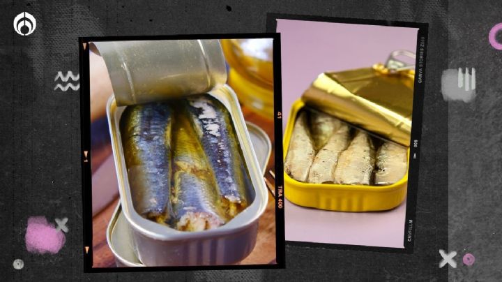 Estas son las mejores sardinas españolas, según Profeco