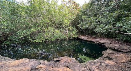 Conoce los nuevos prospectos para nuevas áreas naturales protegidas en Quintana Roo