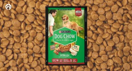 La nueva advertencia que Profeco hizo sobre las croquetas Dog Chow para perritos