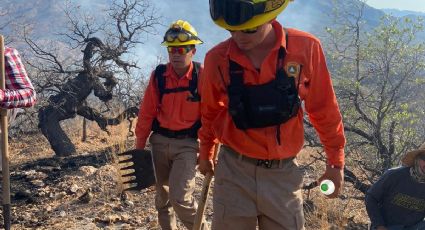 Sofocan incendios forestales en Yécora y Nogales