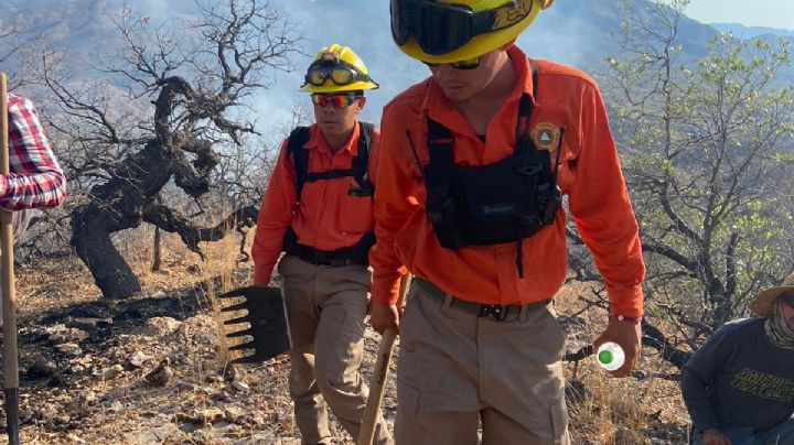 Sofocan incendios forestales en Yécora y Nogales