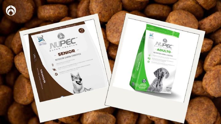 ¿Qué tan buenas son las croquetas para perro NUPEC, según Profeco?