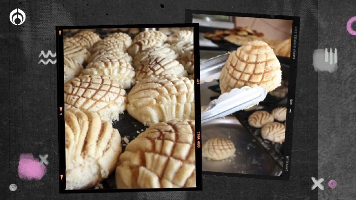 10 panaderías donde venden las conchas más ricas de toda la CDMX, según expertos