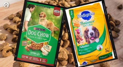 Dog Chow vs. Pedigree: ¿Cuál tiene las mejores croquetas?