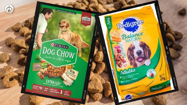 Dog Chow vs. Pedigree: ¿Cuál tiene las mejores croquetas?