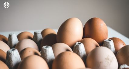 La preocupante razón por la que nunca debes guardar los huevos con la punta hacia abajo