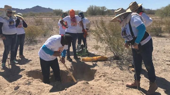 Colectivos de búsqueda en Sonora se suman a llamado para suspender censo de desaparecidos