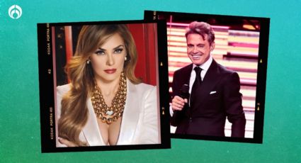 ¿Ya pagó? Aracely Arámbula retira demanda contra Luis Miguel por pensión alimenticia