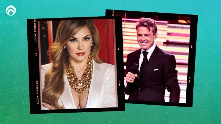 ¿Ya pagó? Aracely Arámbula retira demanda contra Luis Miguel por pensión alimenticia