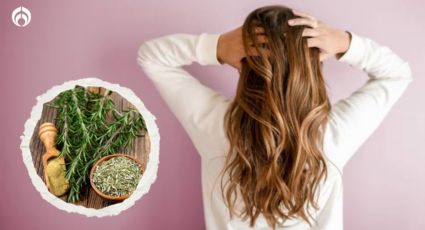 Este simple ingrediente te hará crecer el cabello