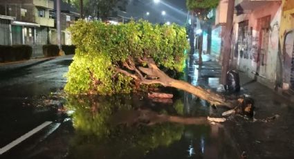 Luvias en León ayudan a recolección de agua; indice promedio anual sigue bajo en 2023