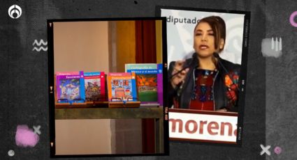 Fuego amigo a libros de texto de la SEP: diputada de Morena pide frenarlos