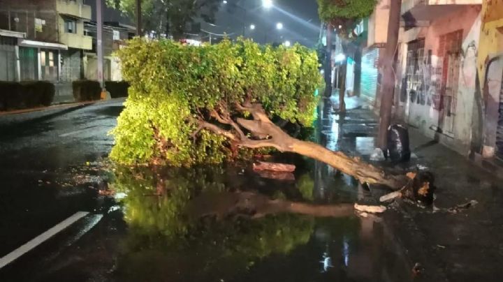 Luvias en León ayudan a recolección de agua; indice promedio anual sigue bajo en 2023