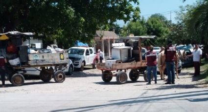 Tres equinos fueron rescatados tras maltrato animal en operativo de Madero