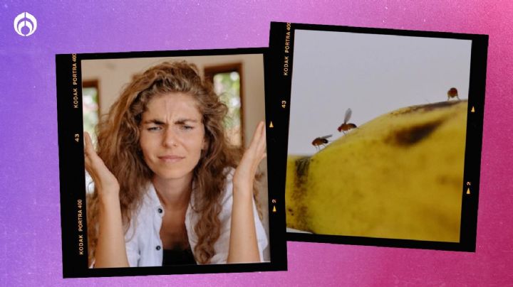 Rápido y efectivo: ¿Cómo acabar con los mosquitos de la fruta con solo dos ingredientes?