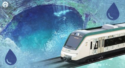 Tren Maya… ¿dejará sin agua a los cenotes? Esto inquieta a los ambientalistas