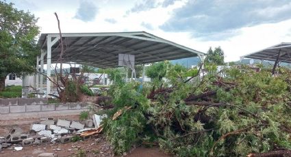 Huracán Hilary: emiten alerta verde en Sonora; se esperan vientos fuertes y constantes lluvias