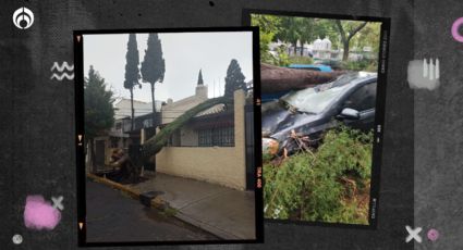 'Hilary' pega a CDMX: (VIDEOS) Provoca inundaciones, caída de árboles y deja a chilangos sin luz