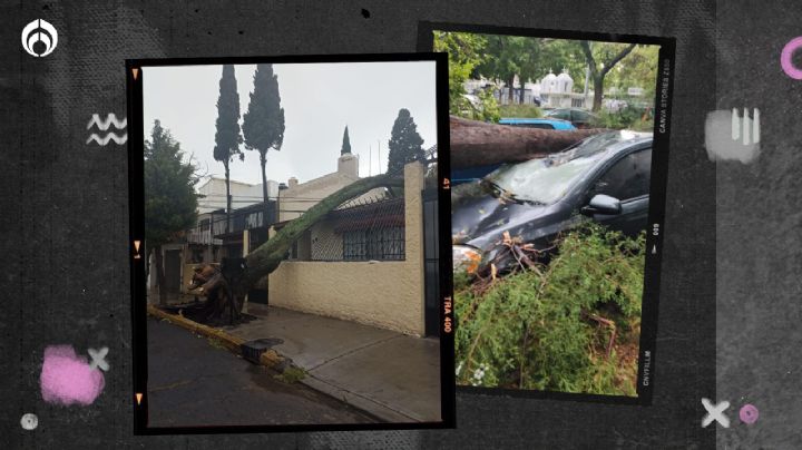 'Hilary' pega a CDMX: (VIDEOS) Provoca inundaciones, caída de árboles y deja a chilangos sin luz