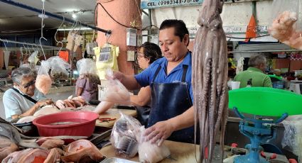 ¿Un cevichito? Inicia la temporada de pulpo en Yucatán; el periodo más barato de este ejemplar