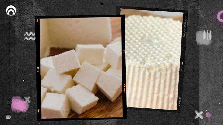 ¿Cuál es la diferencia entre queso panela y queso fresco? Este es más saludable