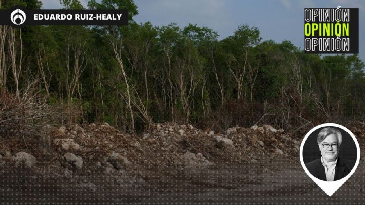 AMLO heredará un territorio en ruinas a las futuras generaciones