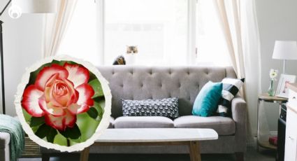 6 trucos para que tu sala siempre huela a frutas y flores