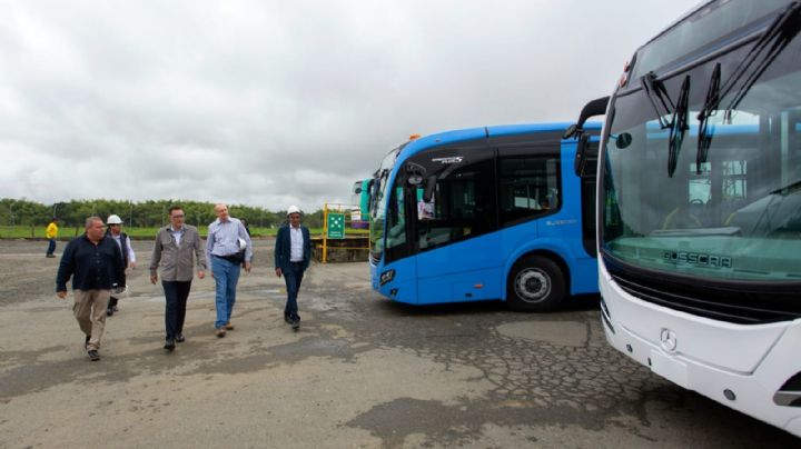 Nuevo trasporte público apoya al medio ambiente y cuenta con servicio para personas vulnerables