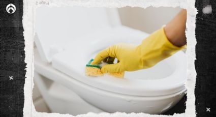 7 tips para mantener siempre limpia tu taza de baño